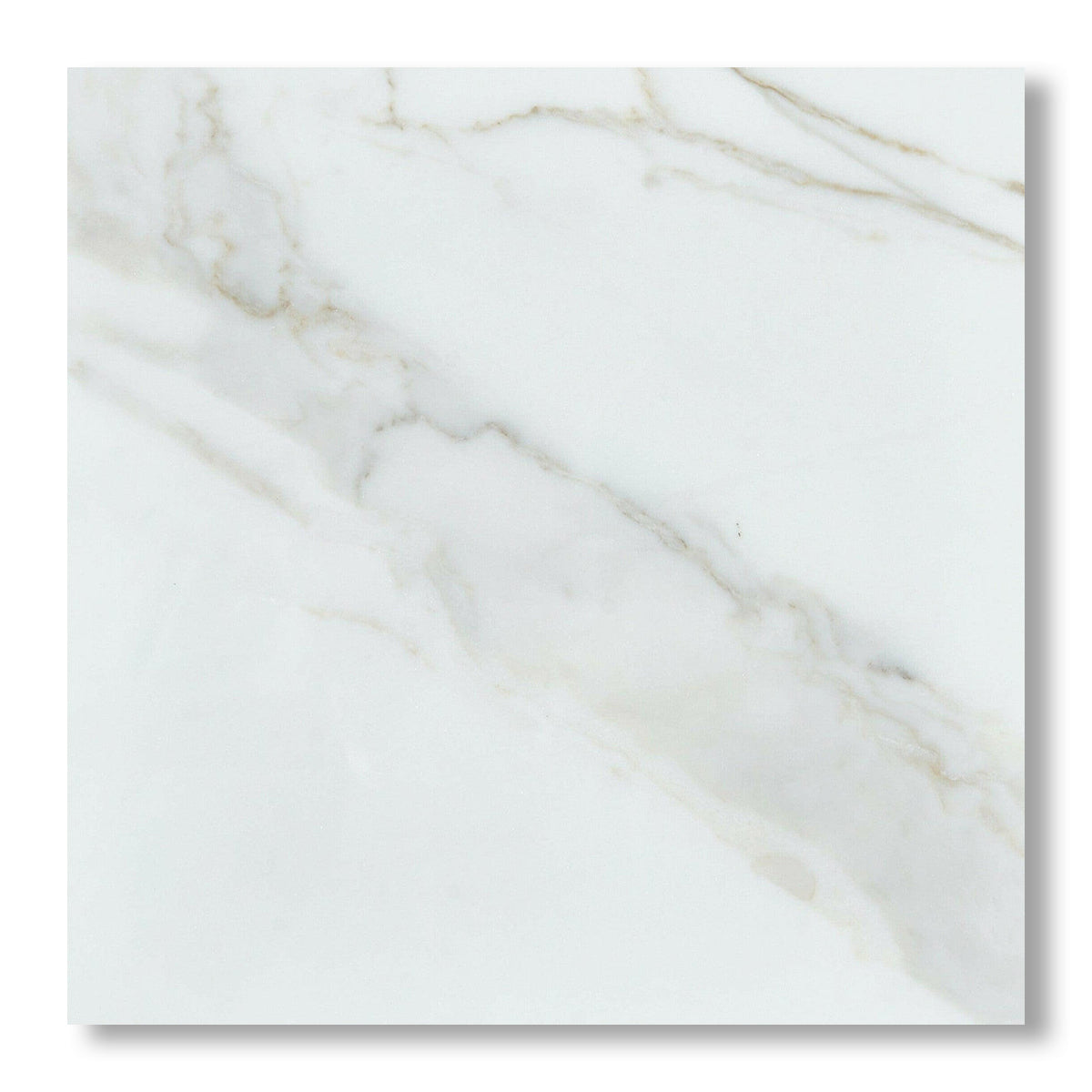 24x24 Calacatta Gold Marble Honed Tile - American Tile Depot