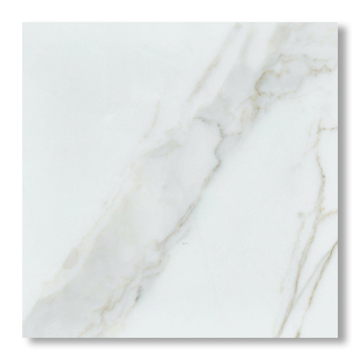 24x24 Calacatta Gold Marble Honed Tile - American Tile Depot
