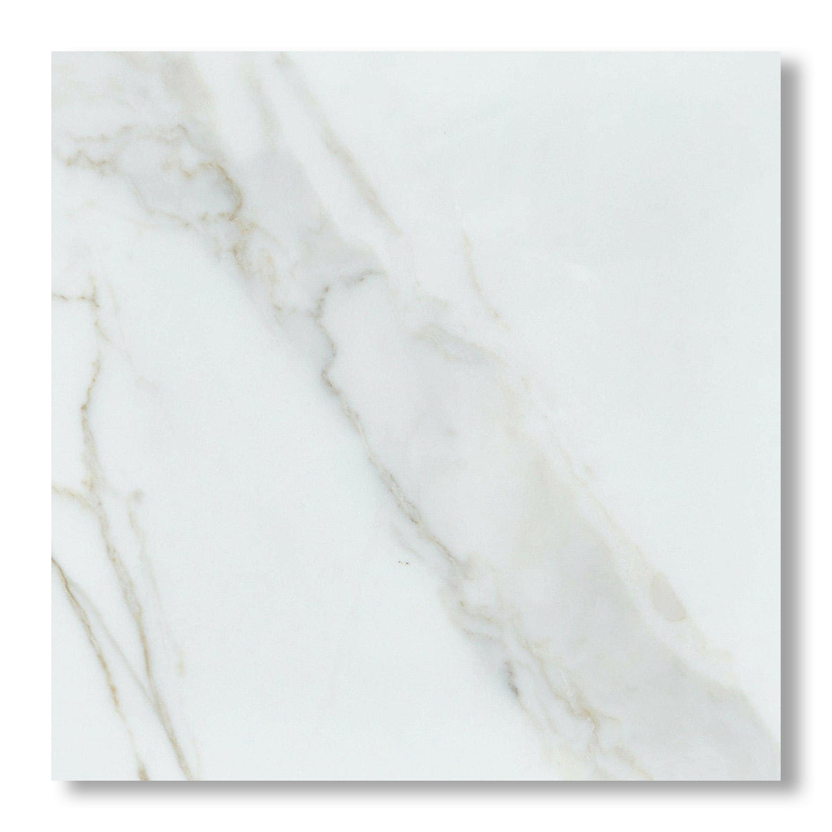 24x24 Calacatta Gold Marble Honed Tile - American Tile Depot