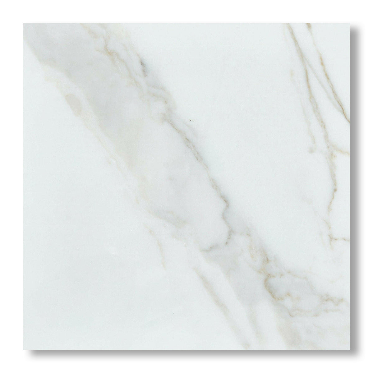24x24 Calacatta Gold Marble Honed Tile - American Tile Depot