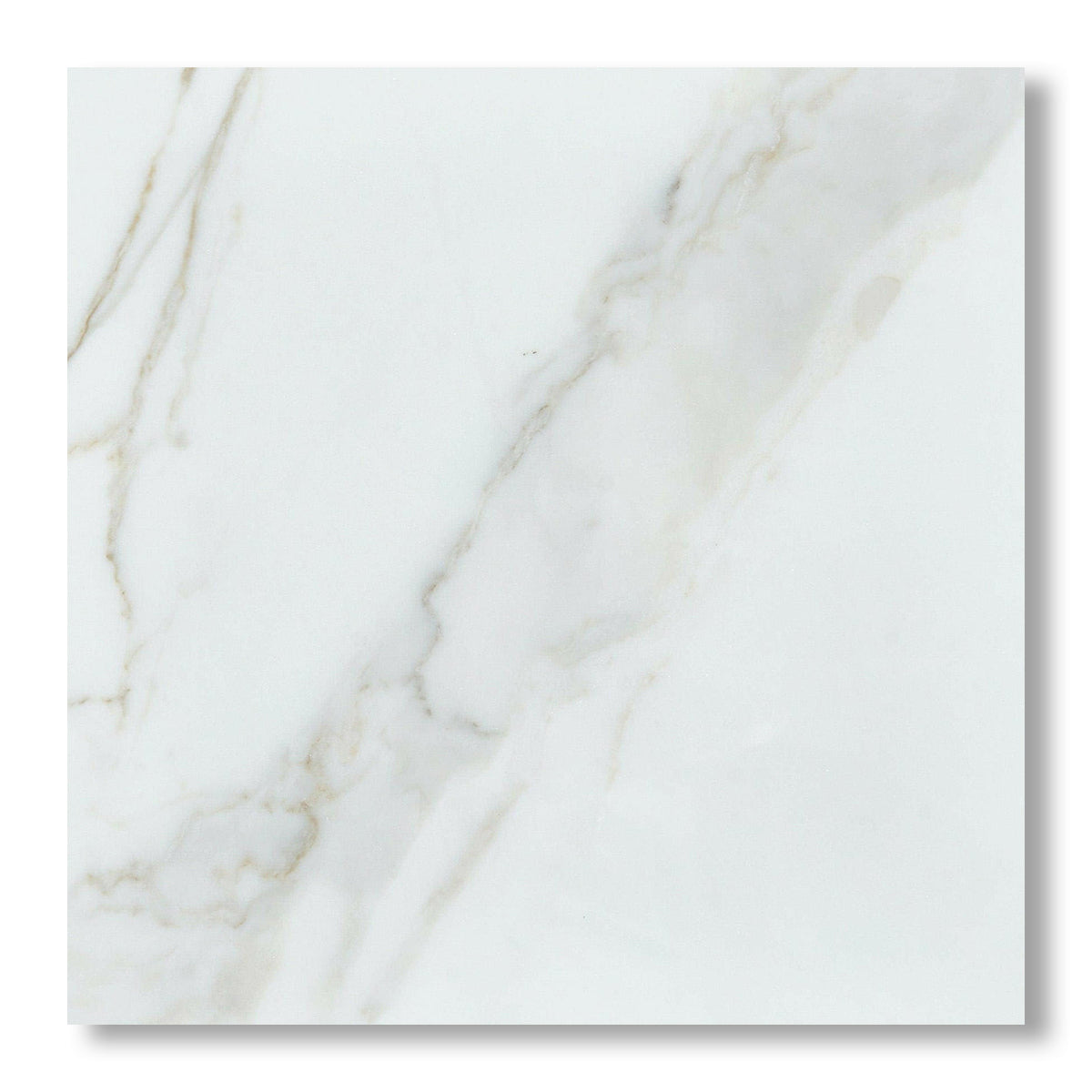 24x24 Calacatta Gold Marble Polished Tile