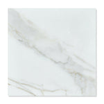 24x24 Calacatta Gold Marble Polished Tile 24x24 Calacatta Gold Marble Polished Tile - American Tile Depot