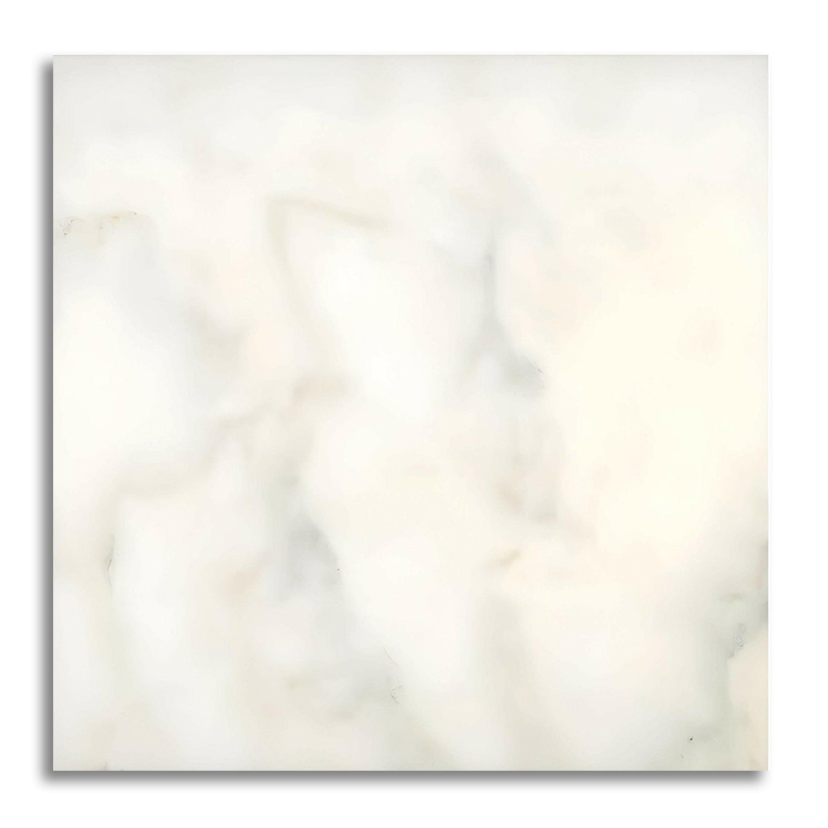 24x24 Calacatta Oliva Marble Honed Tile