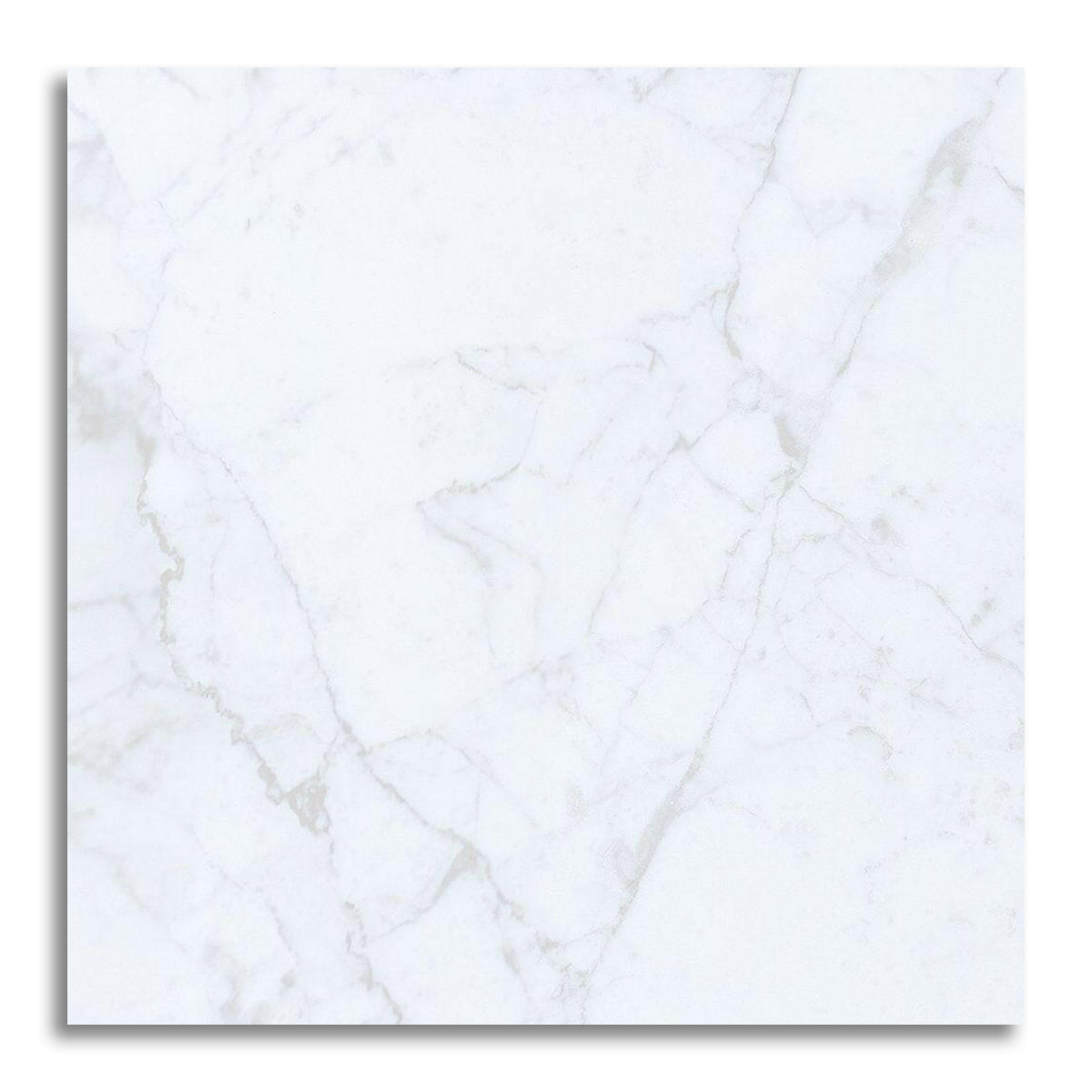24x24 Carrara White Marble Honed Tile - American Tile Depot