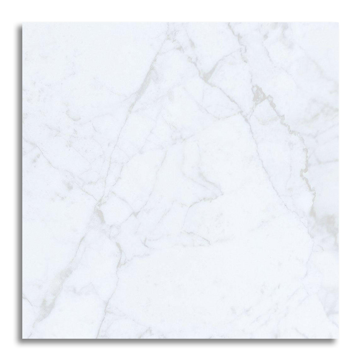 24x24 Carrara White Marble Honed Tile - American Tile Depot
