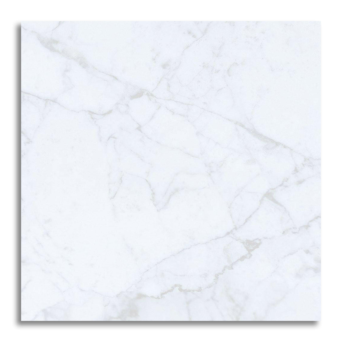 24x24 Carrara White Marble Polished Tile - American Tile Depot