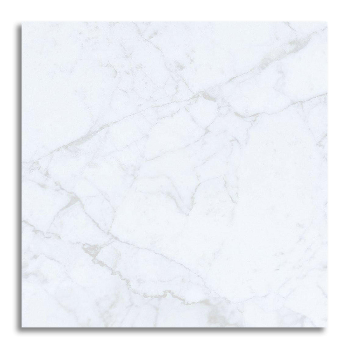 24x24 Carrara White Marble Polished Tile - American Tile Depot