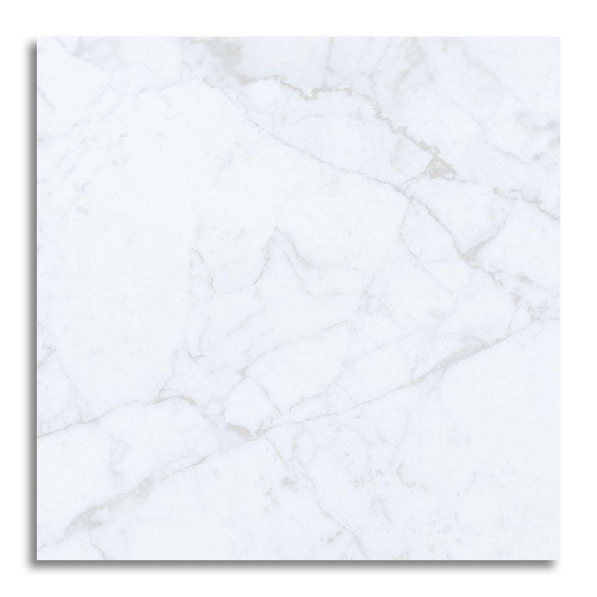 24x24 Carrara White Marble Honed Tile