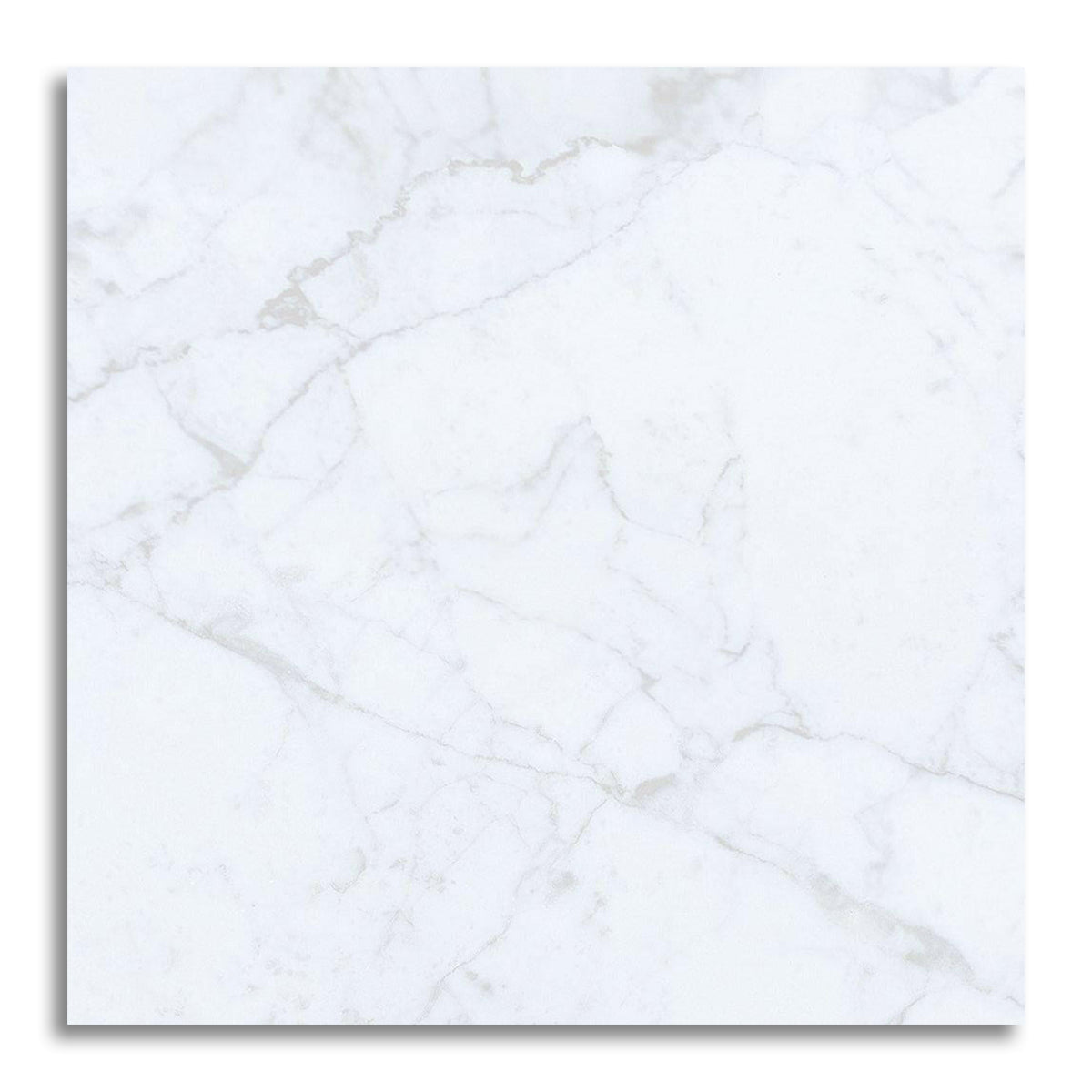 24x24 Carrara White Marble Honed Tile