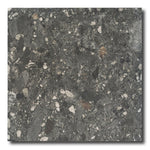 24x24 Ceppo Nero Matte R11 Terrazzo Look Porcelain Tile 24x24 Ceppo Nero Matte R11 Terrazzo Look Porcelain Tile - American Tile Depot