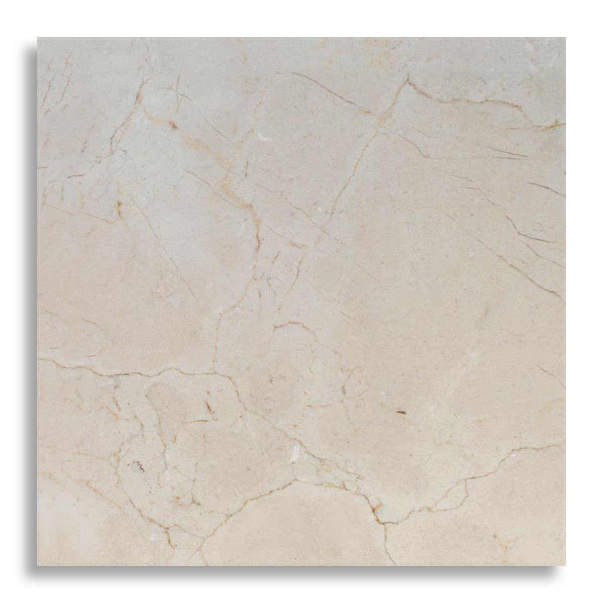 24x24 Crema Marfil Marble Polished Tile - American Tile Depot