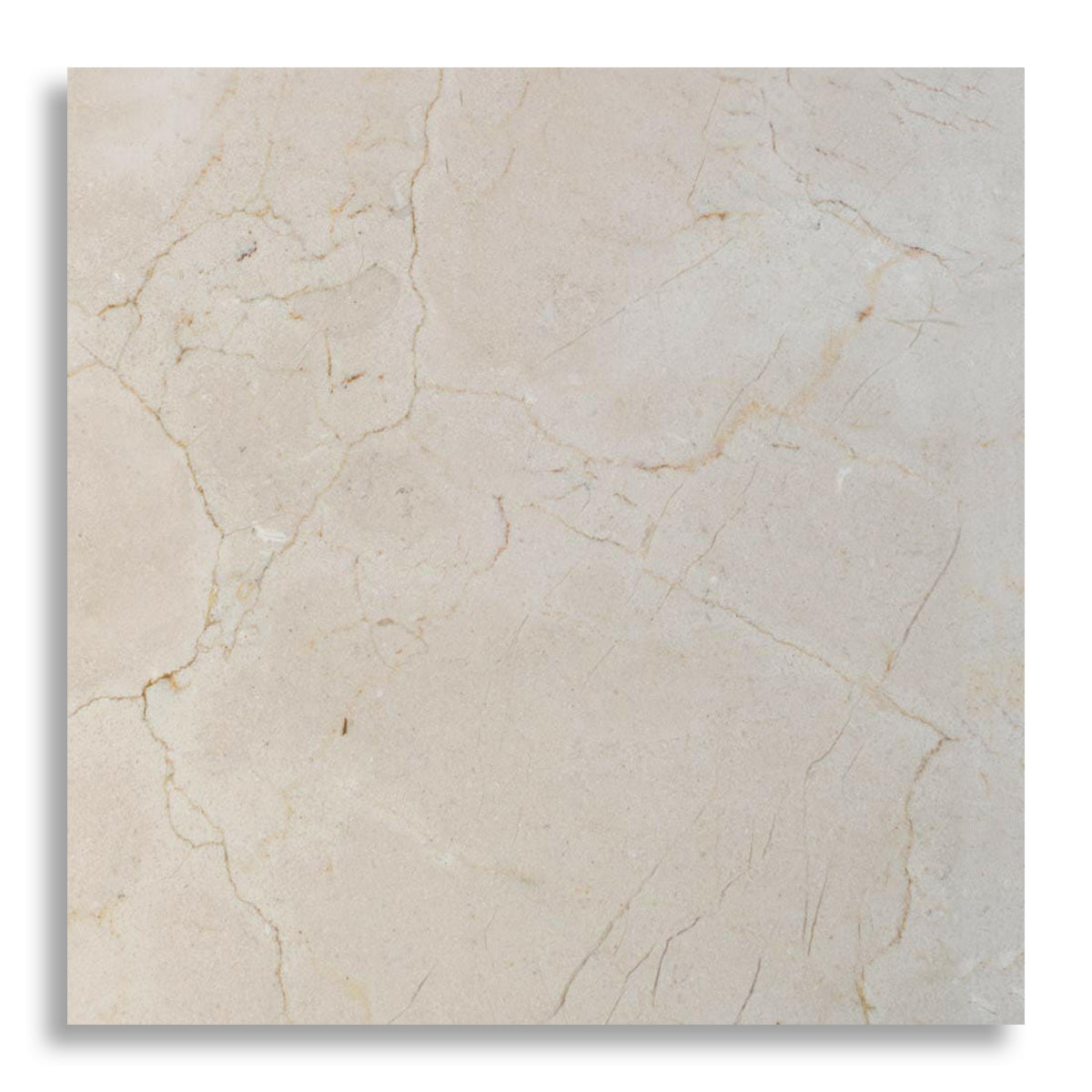 24x24 Crema Marfil Marble Polished Tile - American Tile Depot