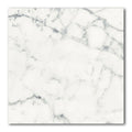24x24 Blanc Matte 