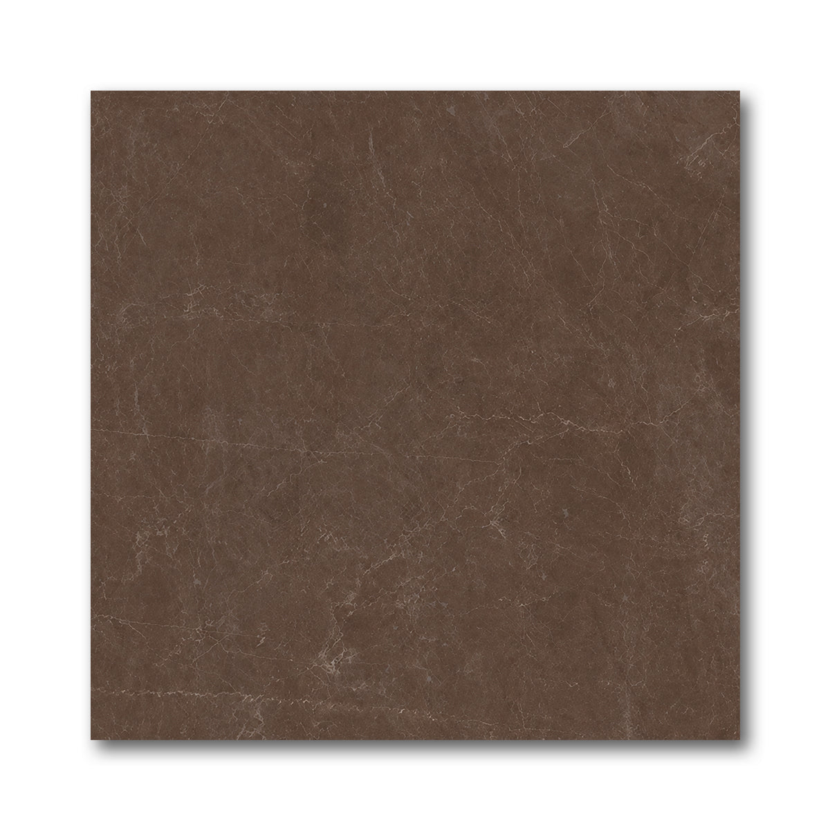 24x24 Infinity Polished Stone Look Porcelain Tile - American Tile Depot