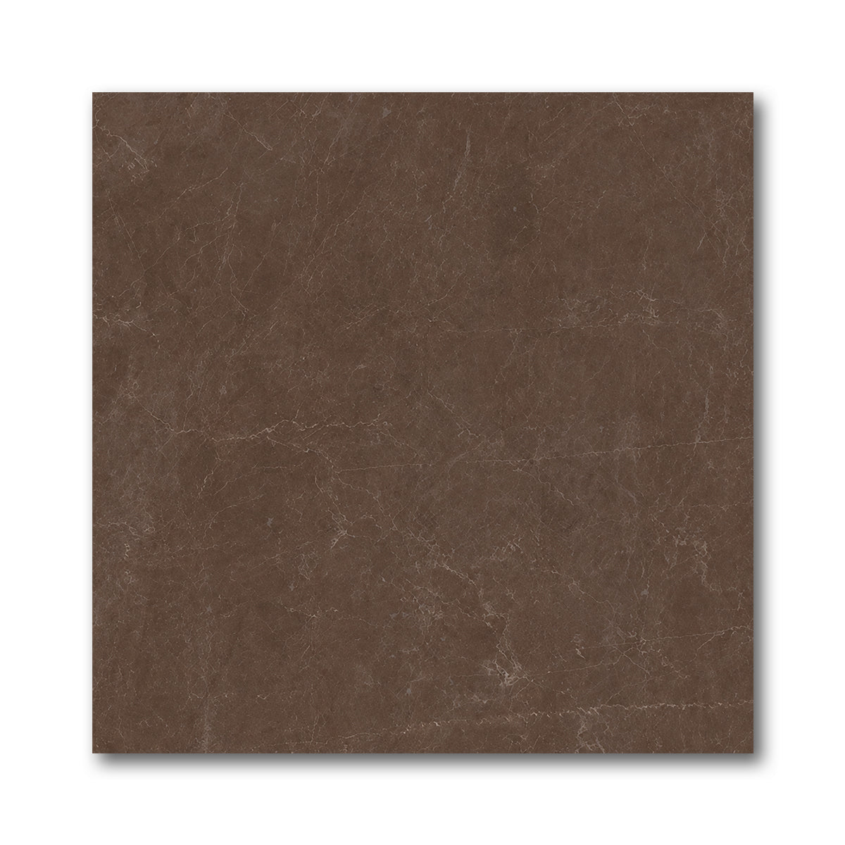 24x24 Infinity Polished Stone Look Porcelain Tile - American Tile Depot