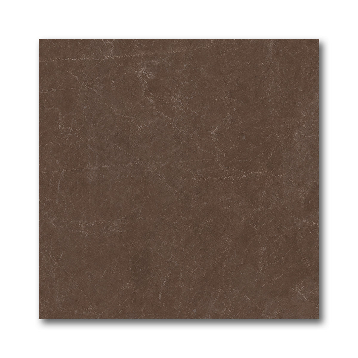 24x24 Infinity Polished Stone Look Porcelain Tile - American Tile Depot