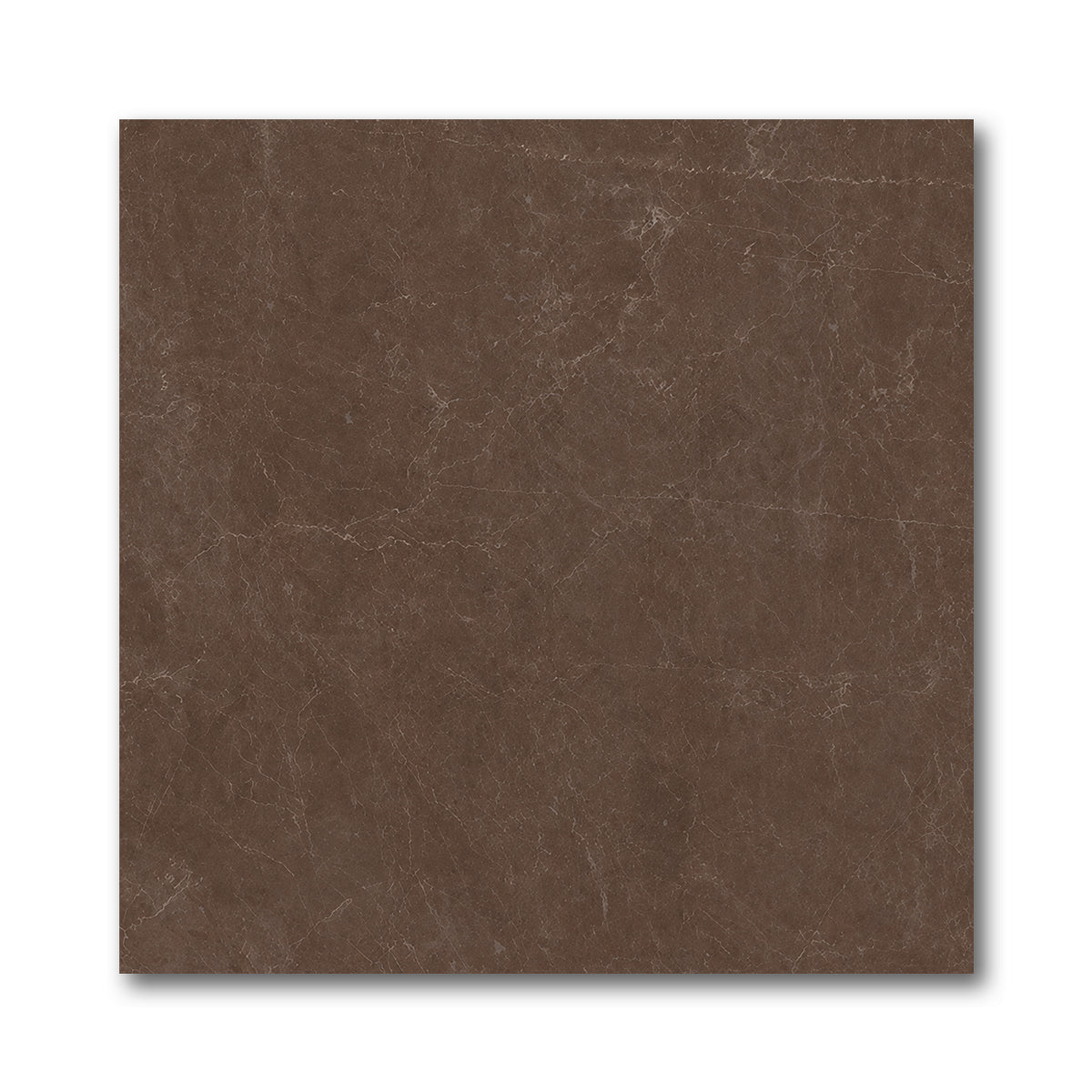 24x24 Infinity Polished Stone Look Porcelain Tile