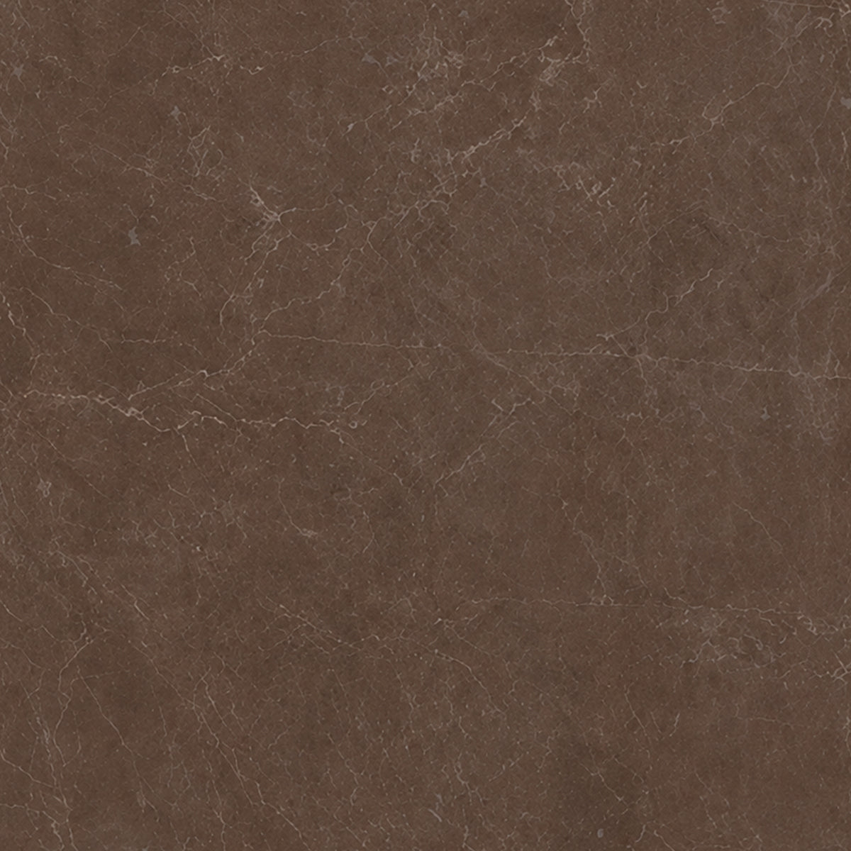 24x24 Infinity Polished Stone Look Porcelain Tile - American Tile Depot