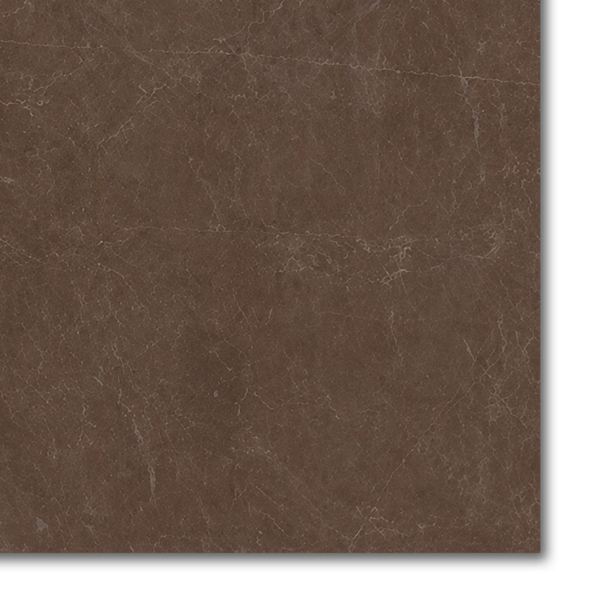 24x24 Infinity Polished Stone Look Porcelain Tile - American Tile Depot
