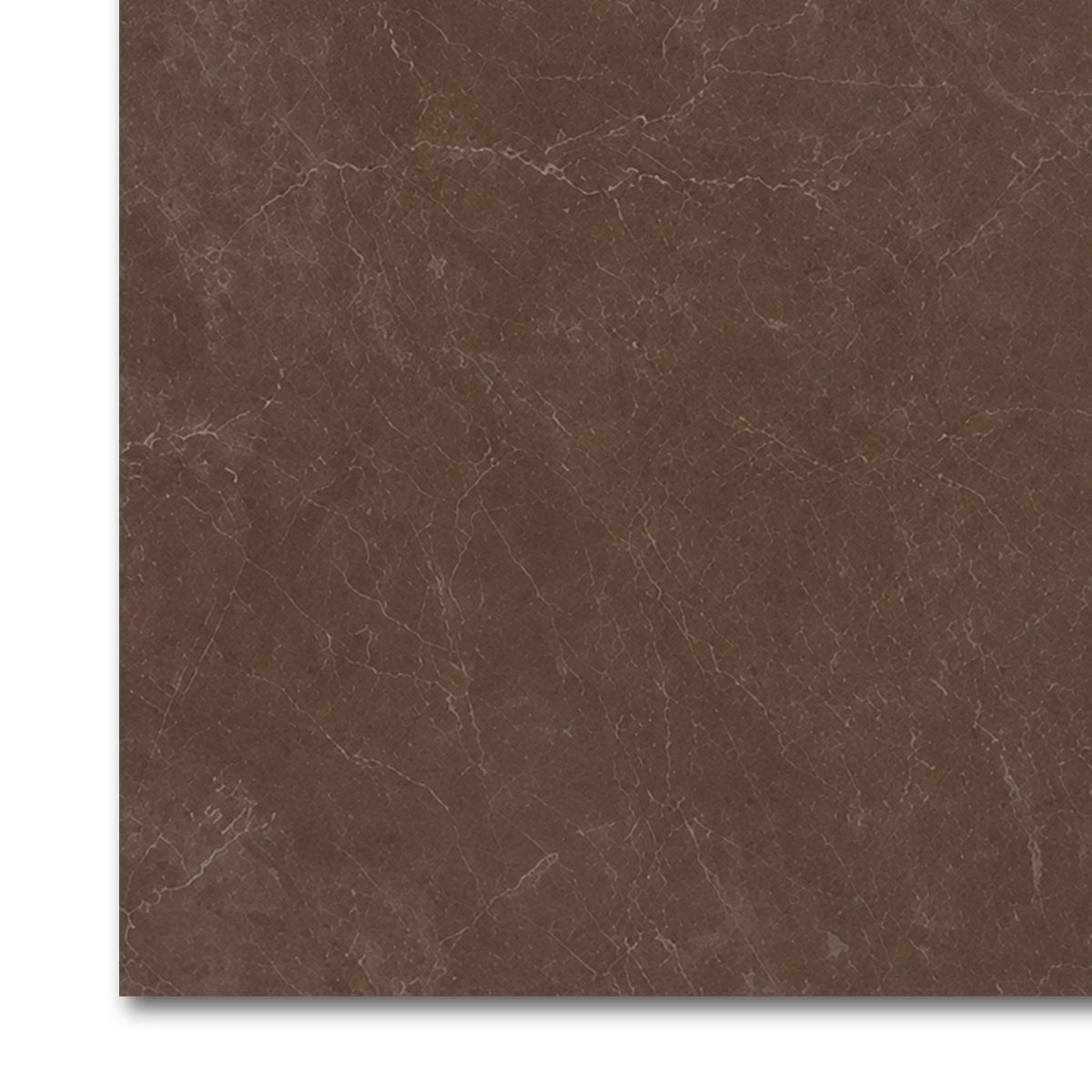 24x24 Infinity Polished Stone Look Porcelain Tile - American Tile Depot