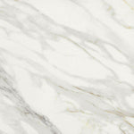 24x24 Lavrion Macchiavecchia Levigato Polished Marble Look Porcelain Tile 24x24 Lavrion Macchiavecchia Levigato Polished Marble Look Porcelain Tile - American Tile Depot