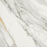 24x24 Lavrion Macchiavecchia Levigato Polished Marble Look Porcelain Tile 24x24 Lavrion Macchiavecchia Levigato Polished Marble Look Porcelain Tile - American Tile Depot