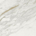 24x24 Lavrion Macchiavecchia Levigato Polished Marble Look Porcelain Tile 24x24 Lavrion Macchiavecchia Levigato Polished Marble Look Porcelain Tile - American Tile Depot
