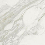 24x24 Lavrion Macchiavecchia Levigato Polished Marble Look Porcelain Tile 24x24 Lavrion Macchiavecchia Levigato Polished Marble Look Porcelain Tile - American Tile Depot