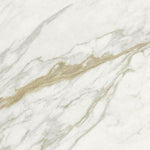 24x24 Lavrion Macchiavecchia Levigato Polished Marble Look Porcelain Tile 24x24 Lavrion Macchiavecchia Levigato Polished Marble Look Porcelain Tile - American Tile Depot