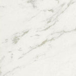 24x24 Lavrion Macchiavecchia Levigato Polished Marble Look Porcelain Tile 24x24 Lavrion Macchiavecchia Levigato Polished Marble Look Porcelain Tile - American Tile Depot