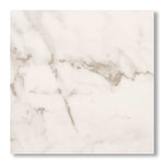 24x24 Obsession Calacatta Gold Matte Porcelain Tile - American Tile Depot