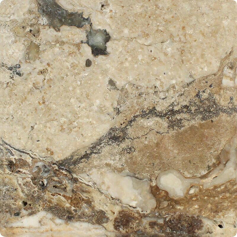 24x24 Philadelphia Travertine Filled & Honed Tile 24x24 Philadelphia Travertine Filled & Honed Tile - American Tile Depot
