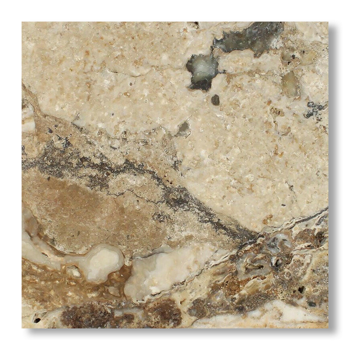 24x24 Philadelphia Travertine Filled & Honed Tile - American Tile Depot