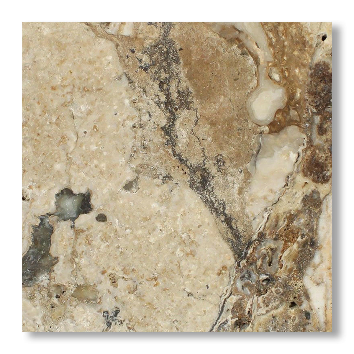 24x24 Philadelphia Travertine Filled & Honed Tile - American Tile Depot