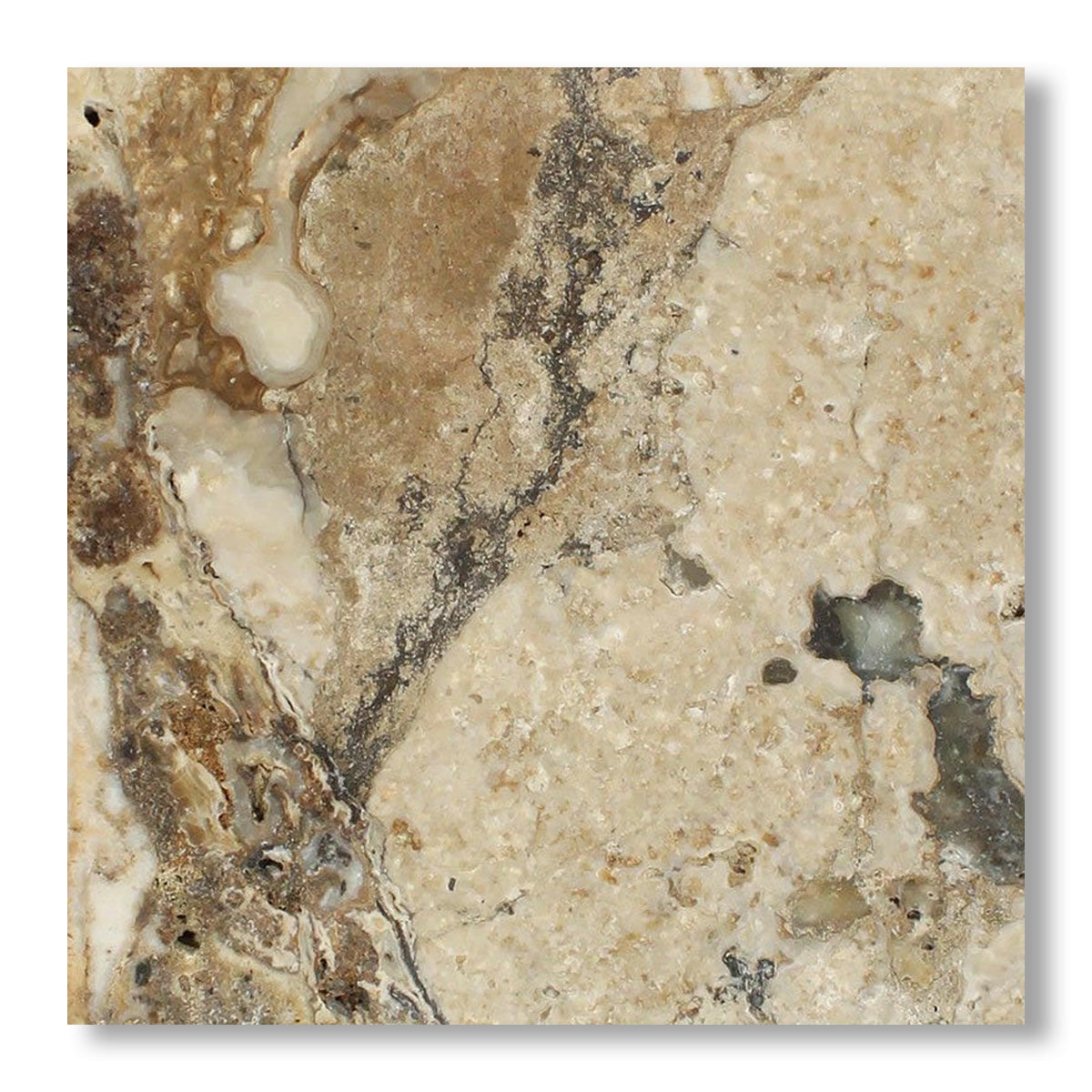 24x24 Philadelphia Travertine Filled & Honed Tile - American Tile Depot