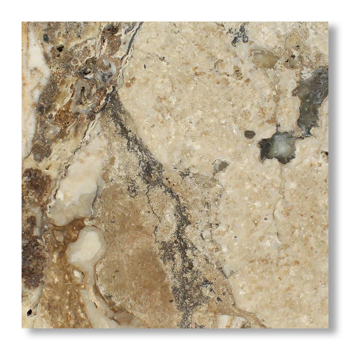 24x24 Philadelphia Travertine Filled & Honed Tile