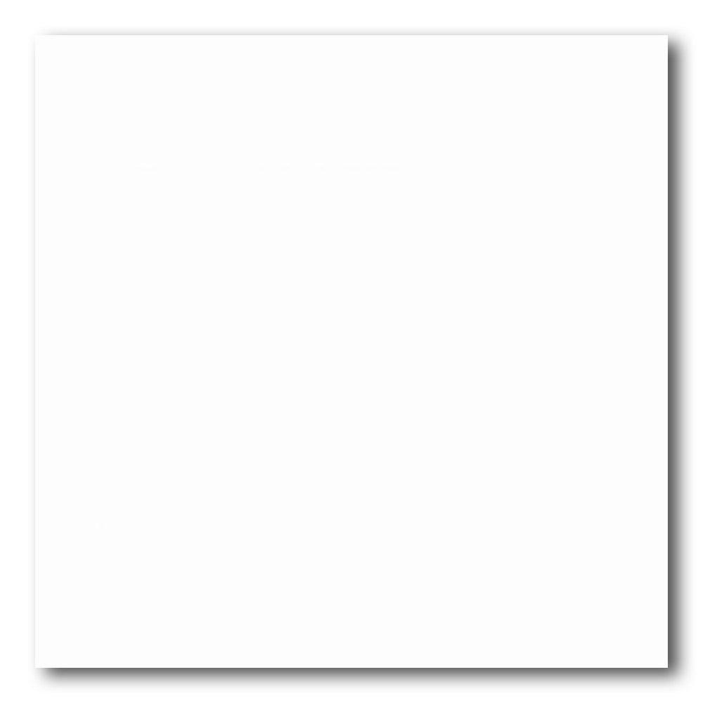24x24 Pulvora Pure White Matte Stone Look Porcelain Tile 24x24 Pulvora Pure White Matte Stone Look Porcelain Tile - American Tile Depot