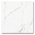 24x24 Polished