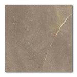 24x24 Trelora Noce Matte Limestone Look Porcelain Tile 24x24 Trelora Noce Matte Limestone Look Porcelain Tile - American Tile Depot