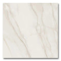 24x24 Polished