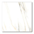 24x24 Polished 