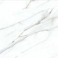 24x24 Polished 