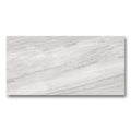 24x48 Alaska Grey Polished