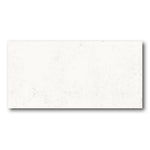 24x48 Botryna Carrara Lux Polished Marble Look Porcelain Tile 24x48 Botryna Carrara Lux Polished Marble Look Porcelain Tile - American Tile Depot