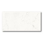 24x48 Botryna Carrara Lux Polished Marble Look Porcelain Tile 24x48 Botryna Carrara Lux Polished Marble Look Porcelain Tile - American Tile Depot