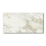 24x48 Brivelle Marble Look Matte Porcelain Tile - American Tile Depot