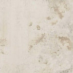 24x48 Chemira Bianco Matte Concrete Look Porcelain Tile (1 Pc) 24x48 Chemira Bianco Matte Concrete Look Porcelain Tile (1 Pc) - American Tile Depot