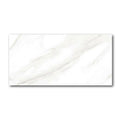 24x48 Calacatta Polished 