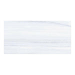 24x48 Elite Dolomite Supreme Matte Marble Look Porcelain Tile 24x48 Elite Dolomite Supreme Matte Marble Look Porcelain Tile - American Tile Depot