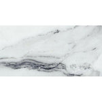 24x48 Genvora Argent Glossy Marble Look Porcelain Tile 24x48 Genvora Argent Glossy Marble Look Porcelain Tile - American Tile Depot